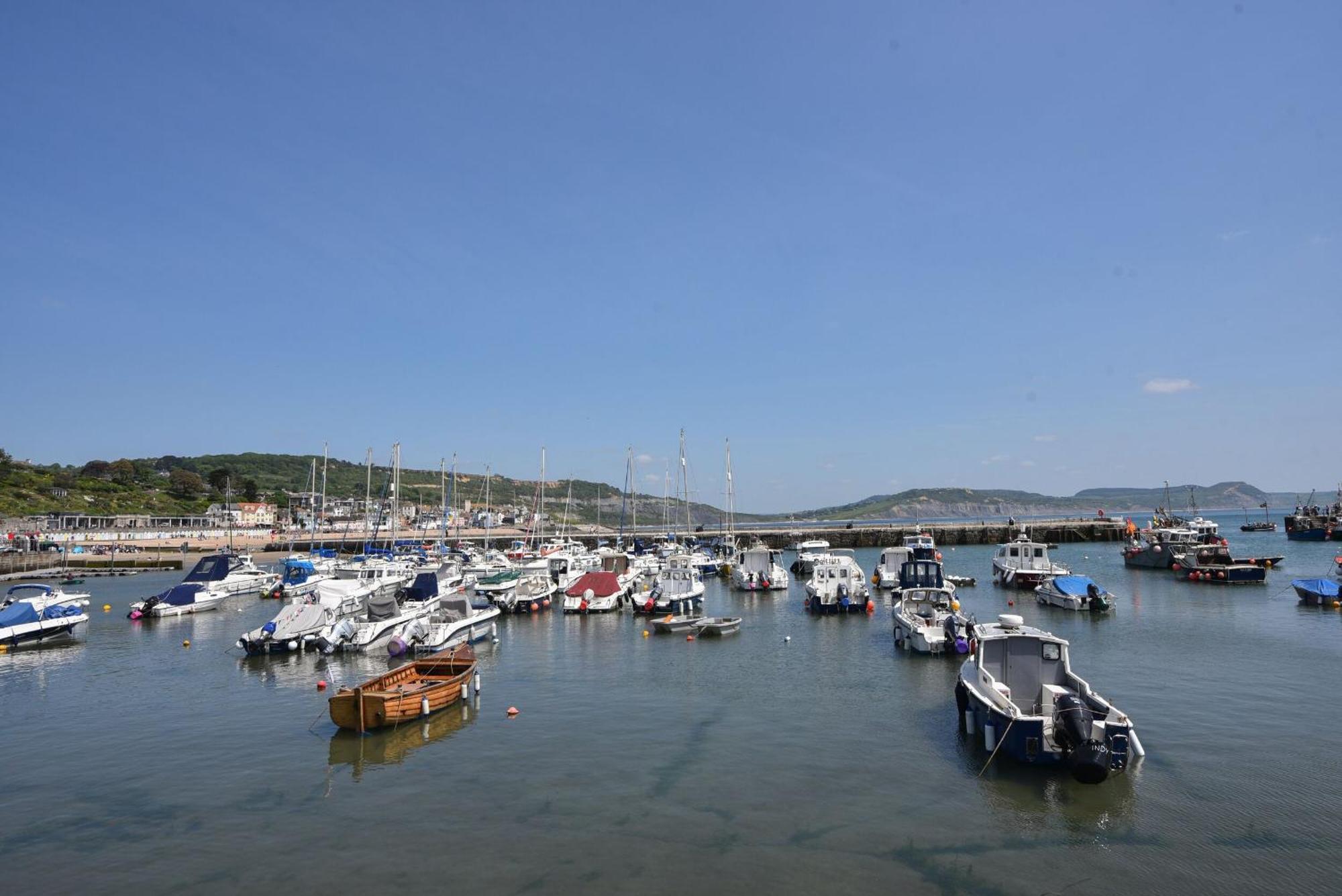 Lyme Views Daire Lyme Regis Dış mekan fotoğraf